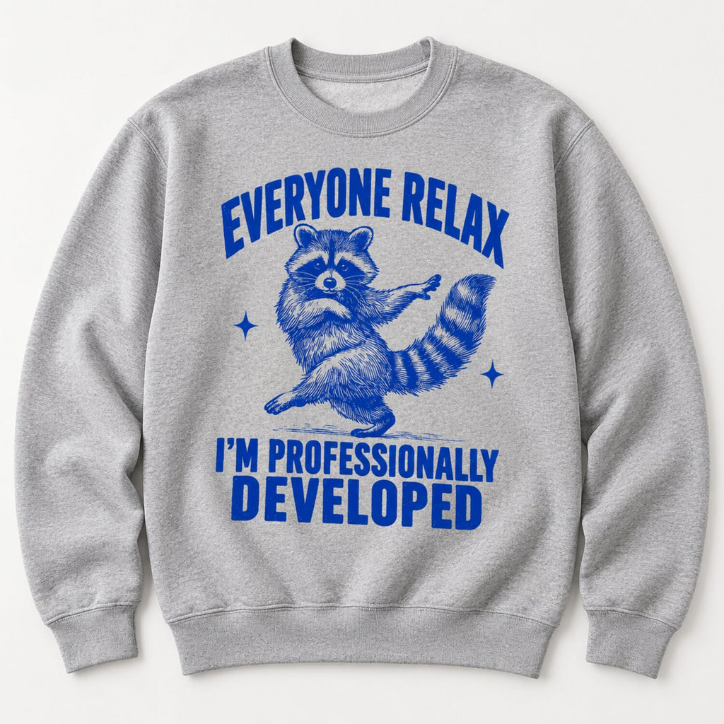 Everyone Relax I'm Professionally Developed Raccoon T-Shirt/Sweatshirt/Hoodie – Funny Teacher Tee