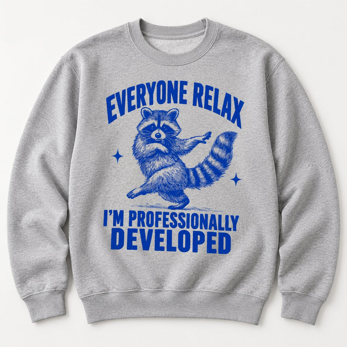 Everyone Relax I'm Professionally Developed Raccoon T-Shirt/Sweatshirt/Hoodie – Funny Teacher Tee