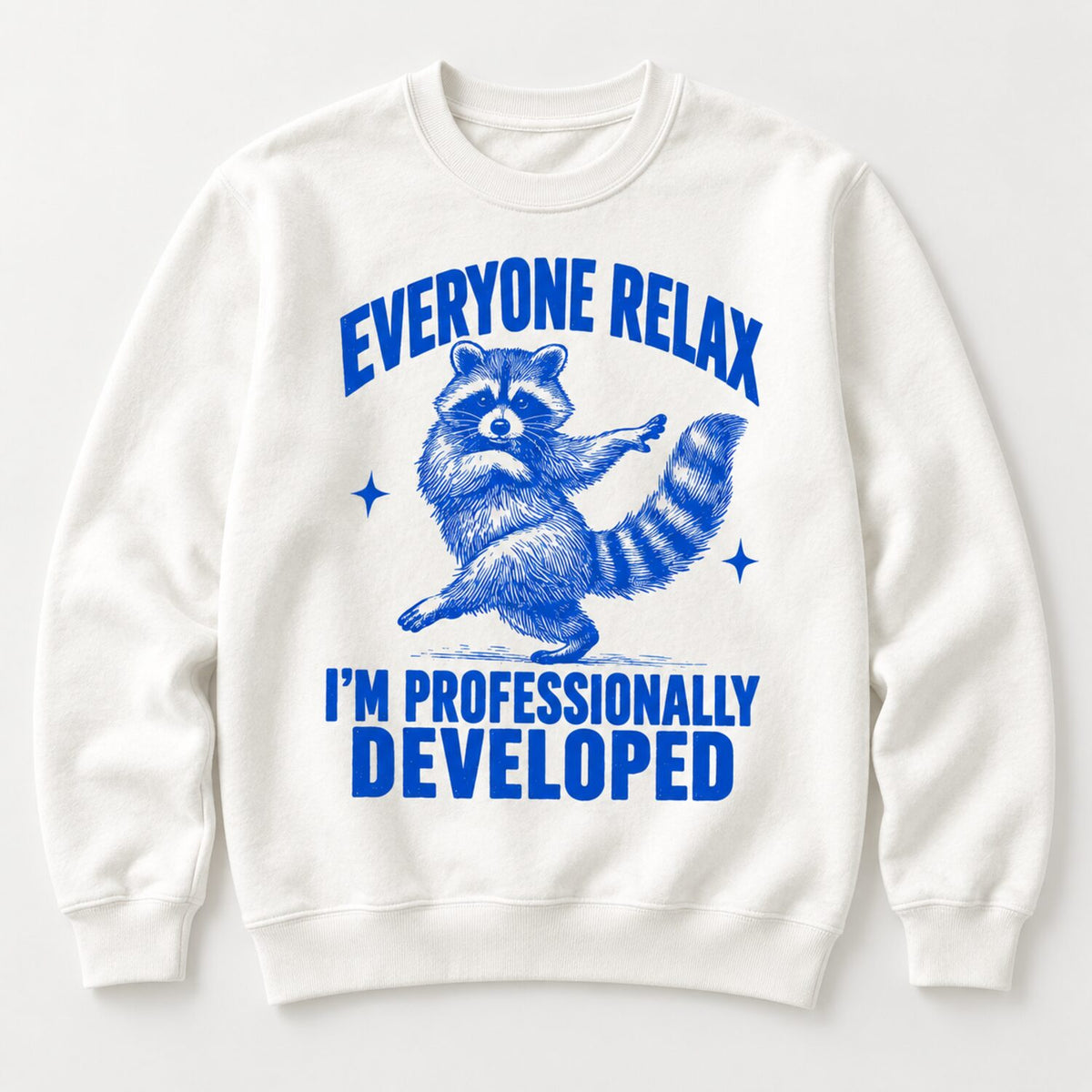Everyone Relax I'm Professionally Developed Raccoon T-Shirt/Sweatshirt/Hoodie – Funny Teacher Tee