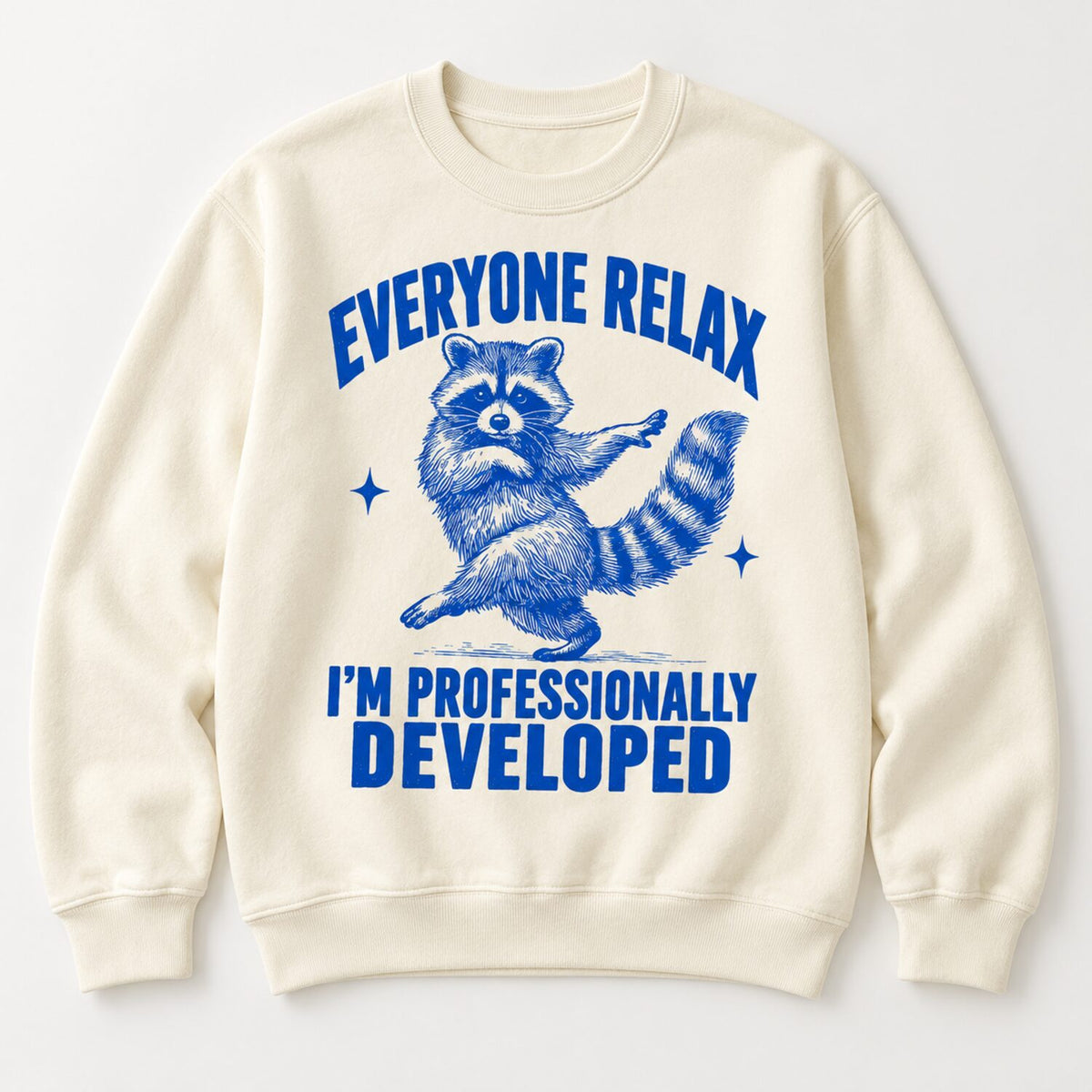 Everyone Relax I'm Professionally Developed Raccoon T-Shirt/Sweatshirt/Hoodie – Funny Teacher Tee