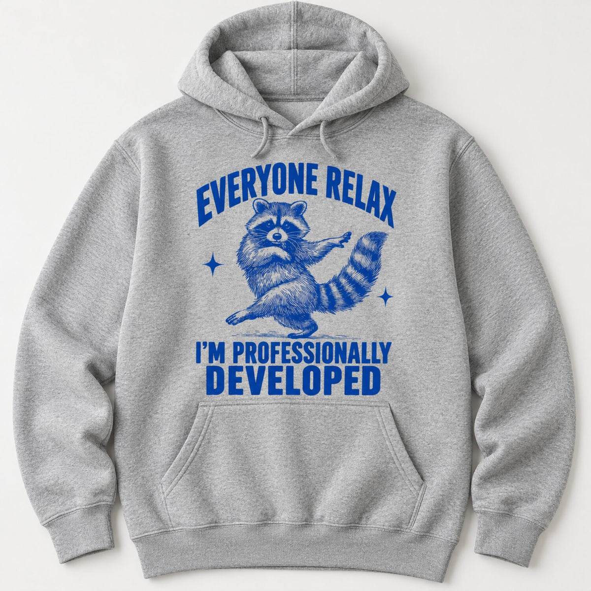 Everyone Relax I'm Professionally Developed Raccoon T-Shirt/Sweatshirt/Hoodie – Funny Teacher Tee