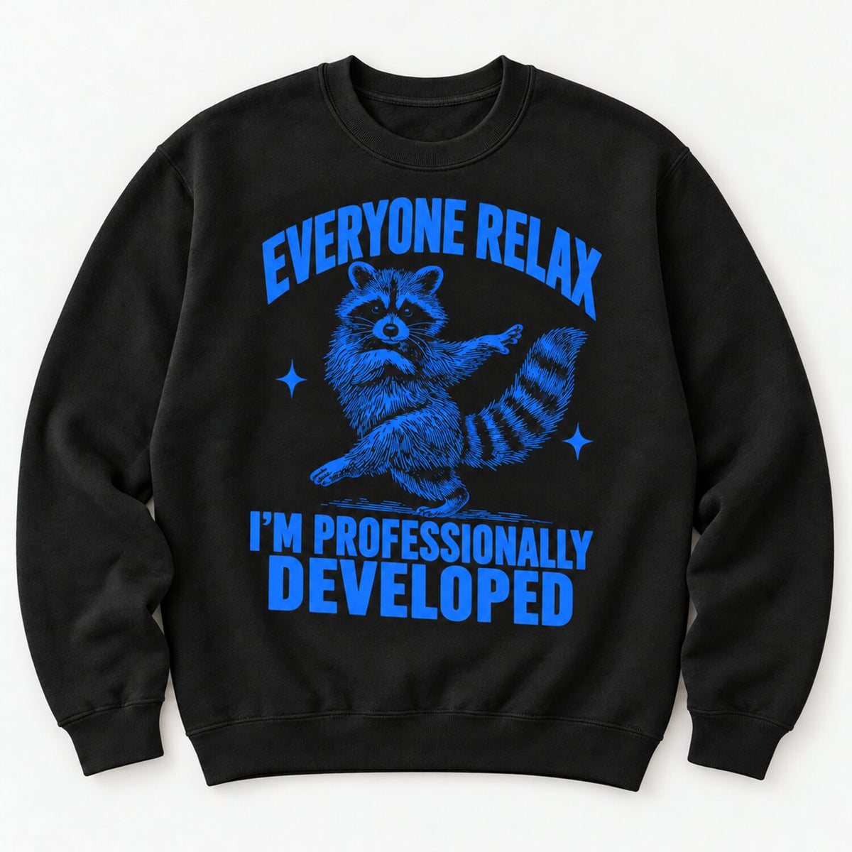 Everyone Relax I'm Professionally Developed Raccoon T-Shirt/Sweatshirt/Hoodie – Funny Teacher Tee