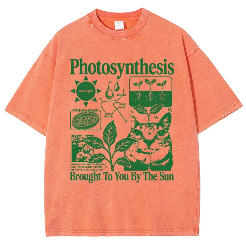 Photosynthesis Cat Graphic T-Shirt, Sweatshirt & Hoodie – Funny Science Biology Plant Lover Tee, Brought to You by the Sun Botanical Graphic, Casual Unisex Gift