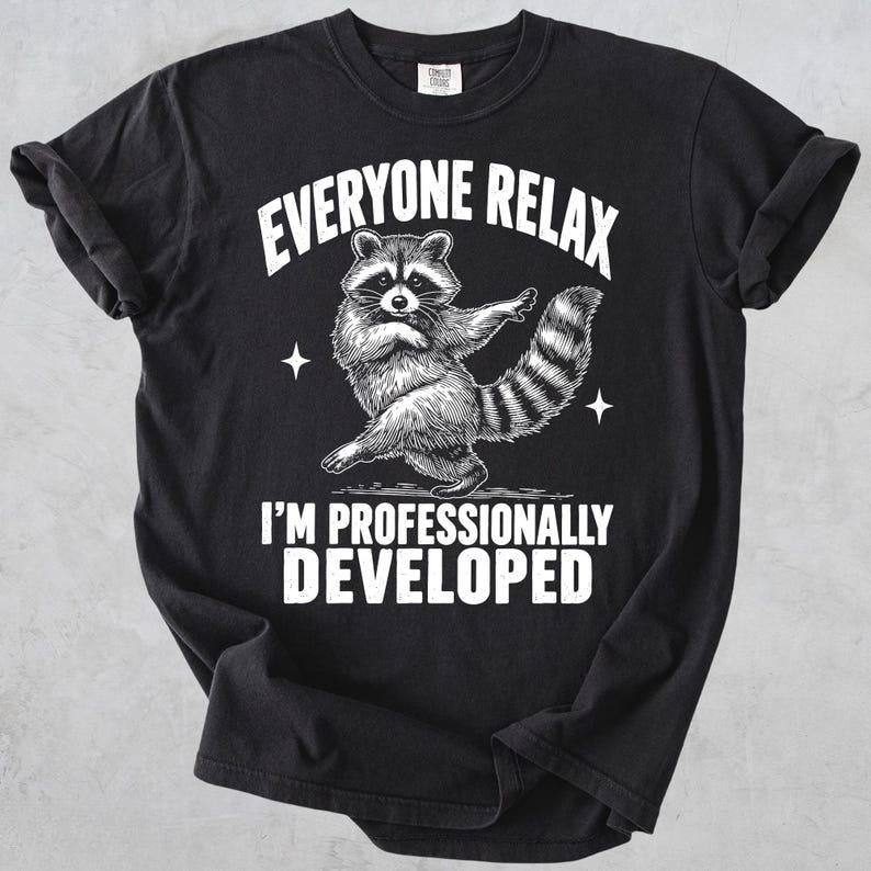 Everyone Relax I'm Professionally Developed Raccoon T-Shirt/Sweatshirt/Hoodie – Funny Teacher Tee