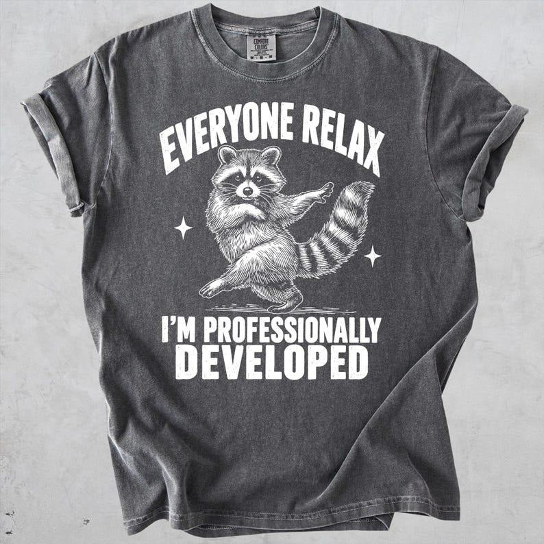 Everyone Relax I'm Professionally Developed Raccoon T-Shirt/Sweatshirt/Hoodie – Funny Teacher Tee