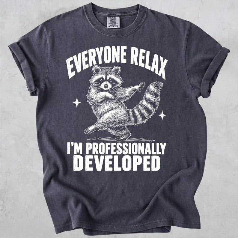 Everyone Relax I'm Professionally Developed Raccoon T-Shirt/Sweatshirt/Hoodie – Funny Teacher Tee