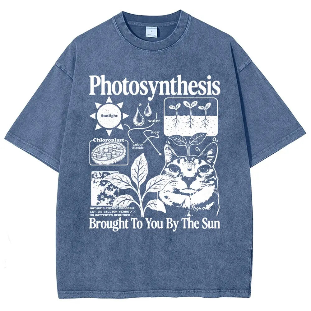 Photosynthesis Cat Graphic T-Shirt, Sweatshirt & Hoodie – Funny Science Biology Plant Lover Tee, Brought to You by the Sun Botanical Graphic, Casual Unisex Gift