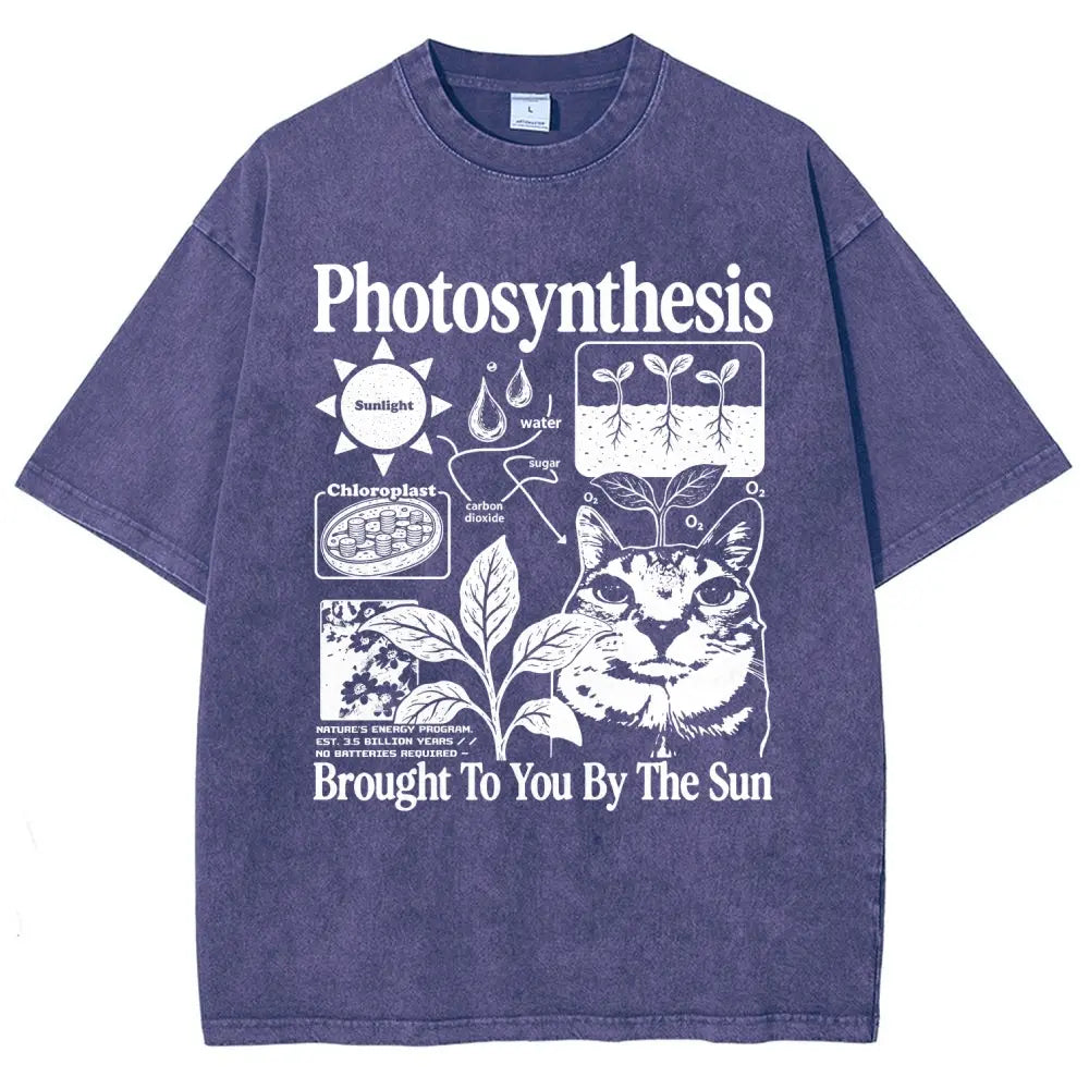 Photosynthesis Cat Graphic T-Shirt, Sweatshirt & Hoodie – Funny Science Biology Plant Lover Tee, Brought to You by the Sun Botanical Graphic, Casual Unisex Gift