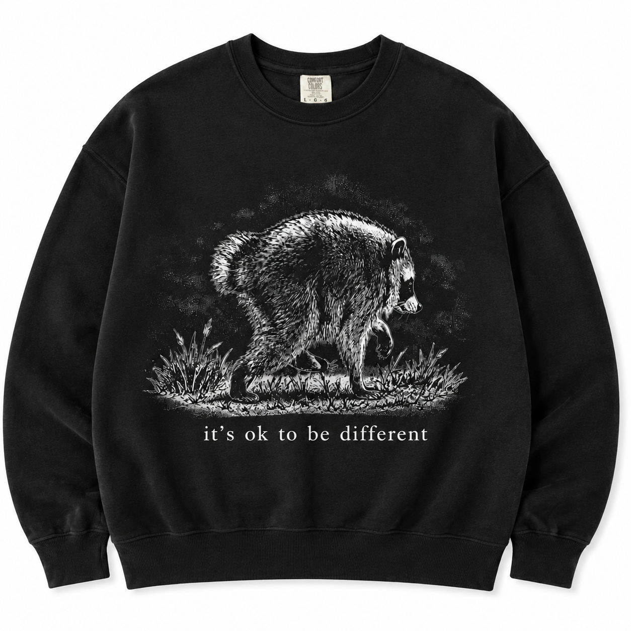 Cute Raccoon Graphic Tee/Sweatshirt/Hoodie – Vintage Animal Shirt for Nature Lovers