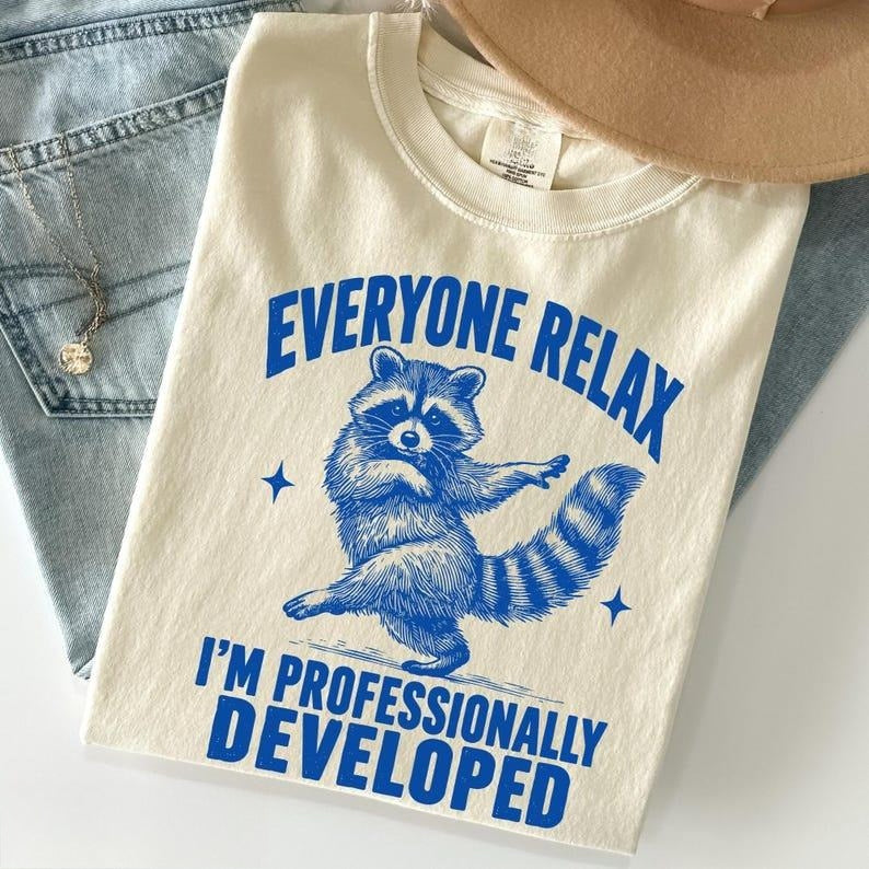 Everyone Relax I'm Professionally Developed Raccoon T-Shirt/Sweatshirt/Hoodie – Funny Teacher Tee