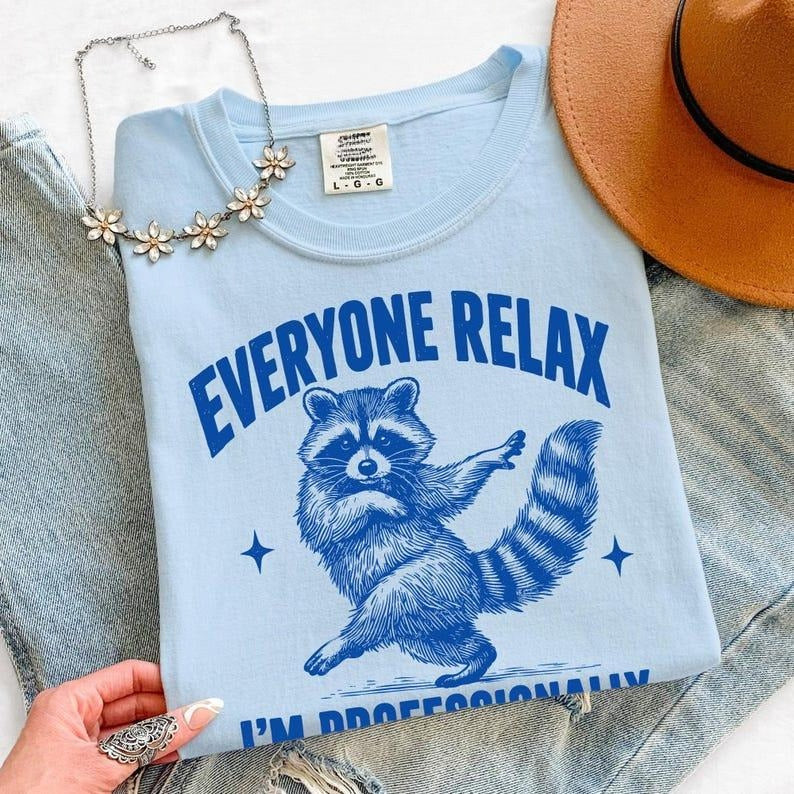 Everyone Relax I'm Professionally Developed Raccoon T-Shirt/Sweatshirt/Hoodie – Funny Teacher Tee